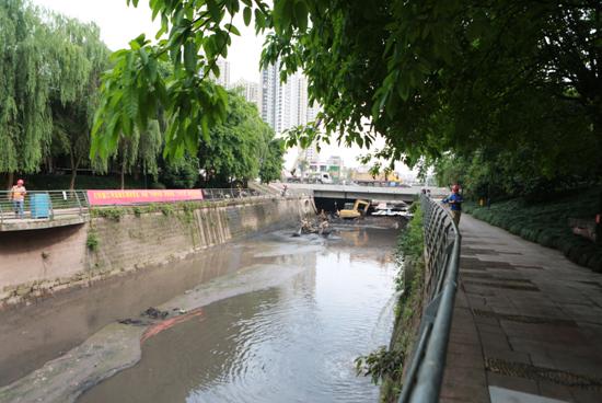 【共舞長江經濟帶】一江碧水出巴渝——重慶修山護水構筑長江上游生態屏障