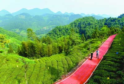 綠色是理念，更是行動(dòng)