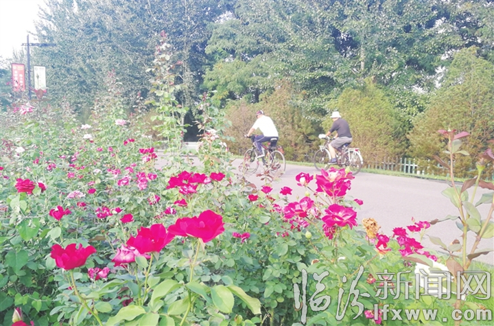 臨汾:秋日的汾河公園碧波蕩漾 吸引眾多市民前來(lái)游玩