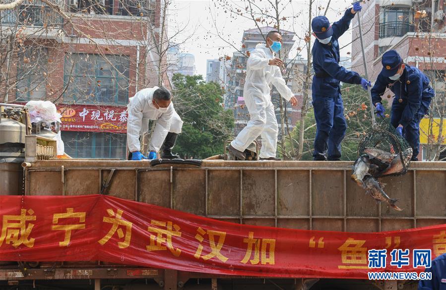 （新華全媒頭條·圖文互動）（12）從人民中汲取磅礴力量——習(xí)近平總書記同出席2020年全國兩會人大代表、政協(xié)委員共商國是紀(jì)實(shí)