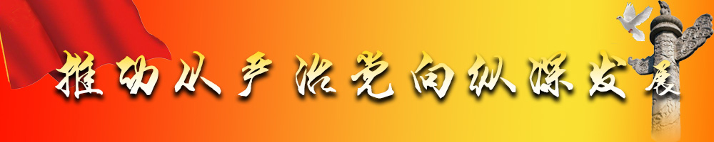 推動從嚴治黨向縱深發展