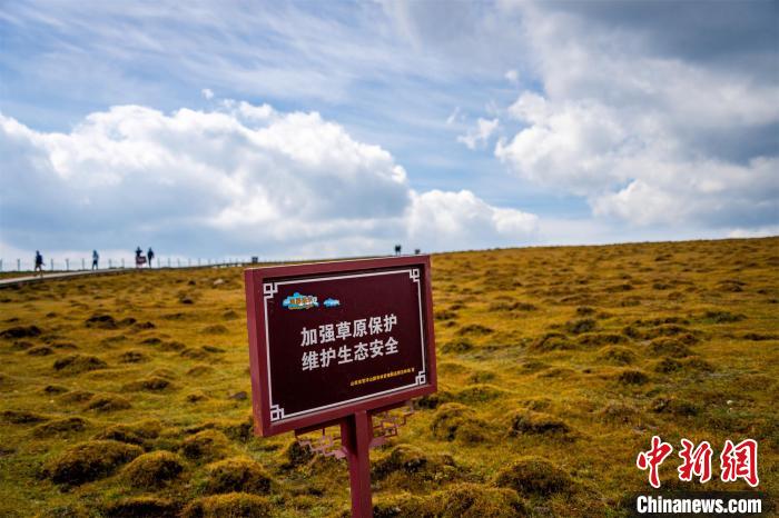 馬侖草原的修復治理以保護和自然修復為主。　馬夢迪 攝