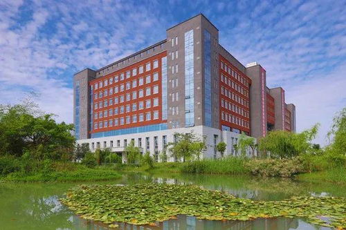 教育部公示 8所 新大學 來了