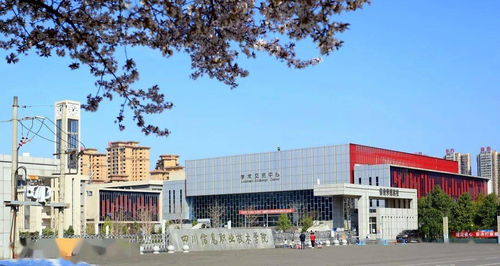 單招宣傳季 四川省唯一一所電子信息類 四川信息職業技術學院2021年單獨招生章程