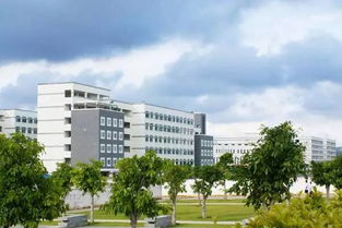 教育部緊急通知 全國300多所野雞大學曝光 廈門正規高校名單在這里,報志愿要看準了