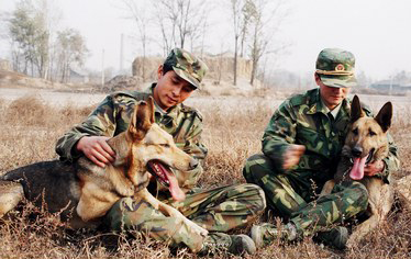 警犬的風采