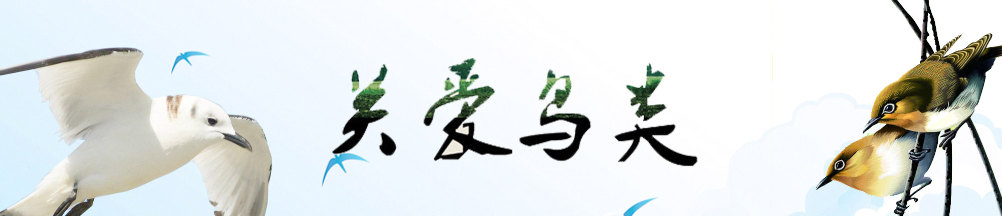 關(guān)愛(ài)鳥(niǎo)類